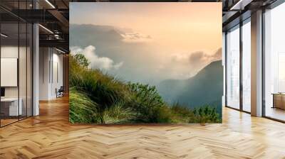 Foggy landscape in the mountains during sunrise, amazing nature view from Kolukkumalai Munnar, Kerala travel and tourism concept image Wall mural