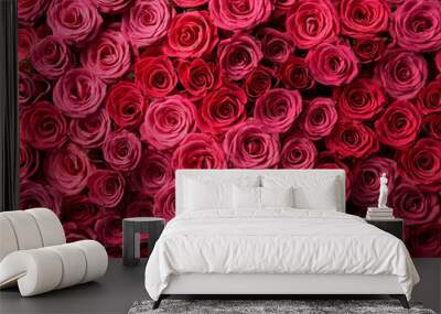 Top view of pink rose flowers backgrounds /wallpaper.  Colorful rose flowers in bloom Wall mural