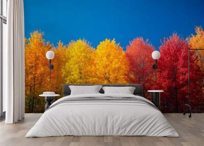 A vibrant fall day with colorful trees and a deep blue sky, perfect for creating a bright and refreshing autumn-themed background. Wall mural