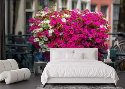 Amsterdam canal bridge decorated with a bush of Petunia flowers on the railing in summer, Beautiful ornamental flowering plants with blurred view of traditional houses and bicycles, Nature background. Wall mural