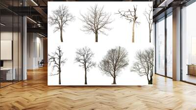 Collection of dead tree isolated on transparent background. for easy selection of designs. Wall mural