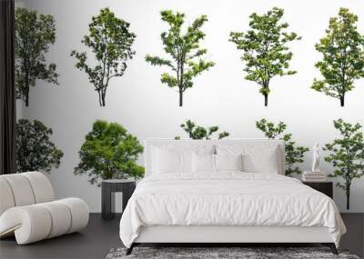 Collection of green trees isolated on transparent background. for easy selection of designs. Wall mural