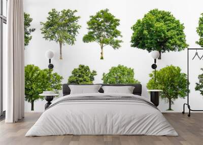 Collection of green trees isolated on transparent background. for easy selection of designs. Wall mural