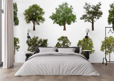 Collection of green trees isolated on transparent background. for easy selection of designs. Wall mural