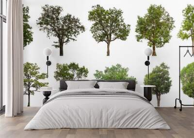 Collection of green trees isolated on transparent background. for easy selection of designs. Wall mural