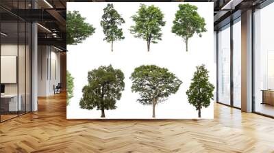 Collection of green trees isolated on transparent background. for easy selection of designs. Wall mural