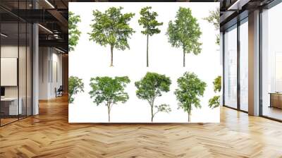 Collection of green trees isolated on transparent background. for easy selection of designs. Wall mural