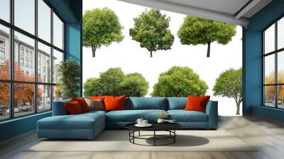 Collection of green trees isolated on transparent background. for easy selection of designs. Wall mural