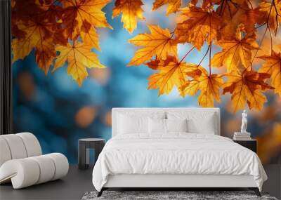 Fall panoramic Thanksgiving header with golden maple leaves, sunlight, and clear blue sky, perfect for banners Wall mural