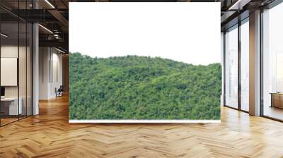 rocky mountain hill with green forest isolated on transparent .background with clipping path and alpha channel Wall mural