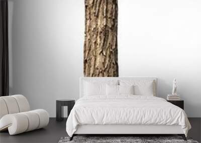 Tree trunk Isolated On White Background Wall mural