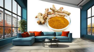 Turmeric (Curcuma longa L.) root and turmeric powder for alternative medicine ,spa products and food ingredient. Wall mural