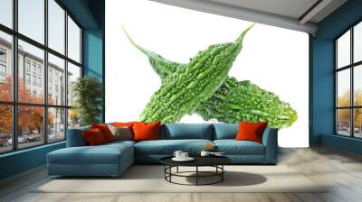 Balsam Apple, Balsam Pear, Bitter Cucumber, Bitter Gourd, Bitter Wall mural