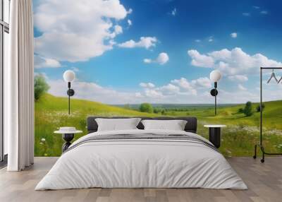 Beautiful bright colorful summer spring natural rural with blue sky Wall mural