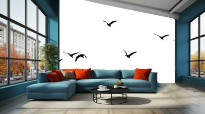 black silhouette flock of birds backlit  Isolate on transparent background PNG file Wall mural