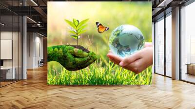 Concept Save the world save environment The world is in the grass of the green bokeh background Wall mural