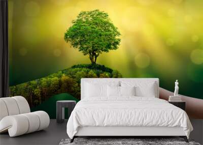 environment earth day in the hands of trees growing seedlings. bokeh green background female hand ho Wall mural