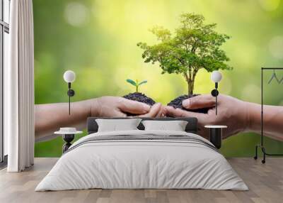 environment earth day in the hands of trees growing seedlings. bokeh green background female hand ho Wall mural