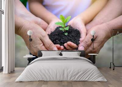 environment Earth Day In the hands of trees growing seedlings. Bokeh green Background Female hand holding tree on nature field grass Forest conservation concept Wall mural