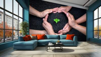 environment Earth Day In the hands of trees growing seedlings. Bokeh green Background Female hand holding tree on nature field grass Forest conservation concept Wall mural