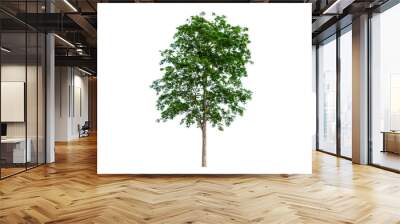 Isolated  trees  on transparent background PNG file Wall mural