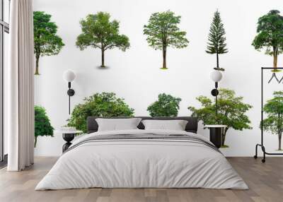 Isolated  trees on white background Collection of Isolated Trees on white background Suitable for use in architectural design , Decoration work Wall mural