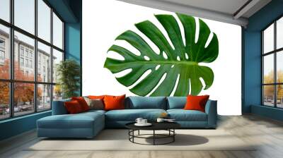 Monstera leaves leaves with Isolate on white background Leaves on white Wall mural