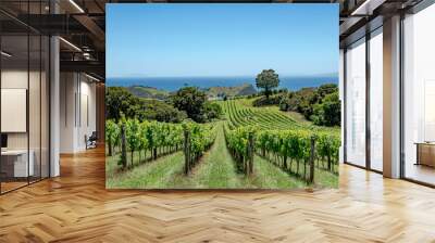 Waiheke Island vineyard, Auckland region, New Zealand Wall mural