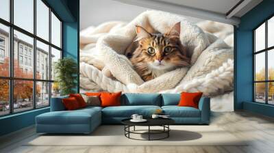 Cat curled up on cozy bed with fluffy blankets, Cat, lying, bed, cozy, blankets, sleep, nap, cute, pet, feline, home Wall mural