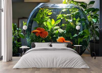 Two Betta Fish in a Planted Fishbowl with Green Plants Wall mural