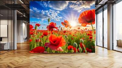 Vibrant red poppies in a field under the sunlight during springtime, nature, flowers, poppies, red, field, vibrant, bloom, spring Wall mural