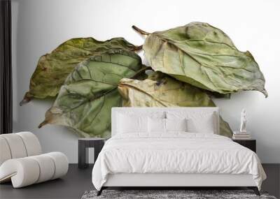 dried betel leaves Isolated on white background Wall mural