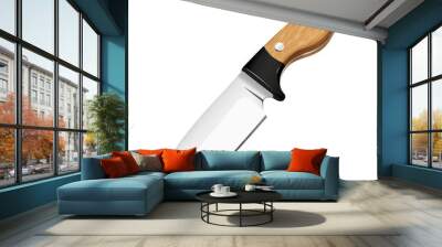 Hunting knife with fixed blade and wooden handle. Stainless steel tactical knife isolated on black background. Wall mural