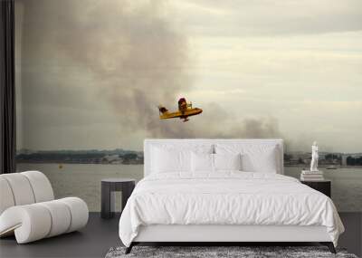 S'Albufera, Angry fire in S´Albufera in Mallorca, Balears, 26th September 2020, Alcudia, airplan under sea, the plane puts out the fire in Majorca, Spain,
the area between Muro and Can Picafort Wall mural