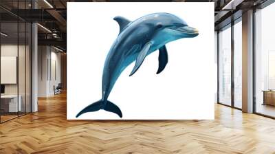 dolphin isolated on white background Wall mural