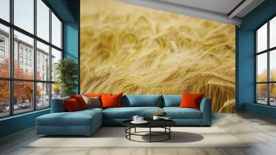 Golden wheat field swaying gently in the wind during a sunny afternoon in late summer, reflecting the warmth of the season Wall mural