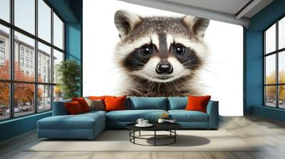 Close-Up Portrait of a Cute Raccoon on White Background with Detailed Fur and Expressive Eyes Wall mural