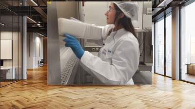 A hygiene staff member carefully inspects equipment to maintain high cleanliness standards Wall mural