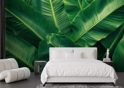 A vibrant image of lush green banana leaves Wall mural