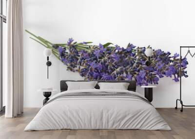 Lavender flowers isolated on white background Wall mural