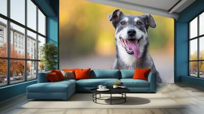 Closeup photo of an adorable dog. Wall mural