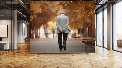 Old man walking in autumn park Wall mural