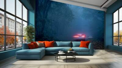 Road through a dark forest at night Wall mural