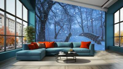 Snowfall in the nature at night Wall mural