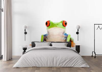 frog isolated on white Wall mural