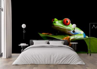 frog on a leaf isolated black Wall mural