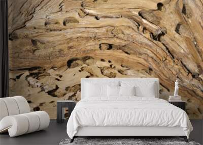 Holzwurm Wall mural