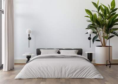 A wooden frame on a white wall with a plant in the pot on the side Wall mural