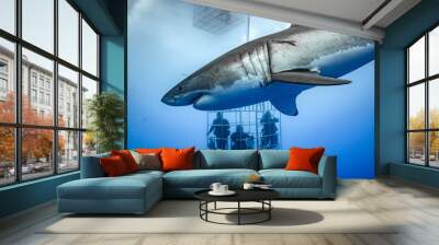 Great White Shark, Guadalupe Island, Isla Guadalupe, White Shark, Cage Diving Wall mural