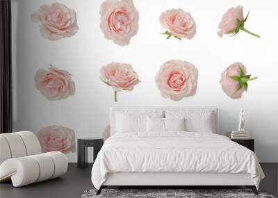 Pink roses, set, cut out Wall mural